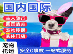 万州五桥航空运输国际宠物托运 【国